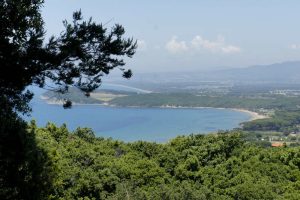 Dalle Alpi Apuane alla Maremma è boom di turisti in Toscana.