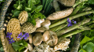 <strong>Piante selvatiche e funghi nel post Covid</strong>